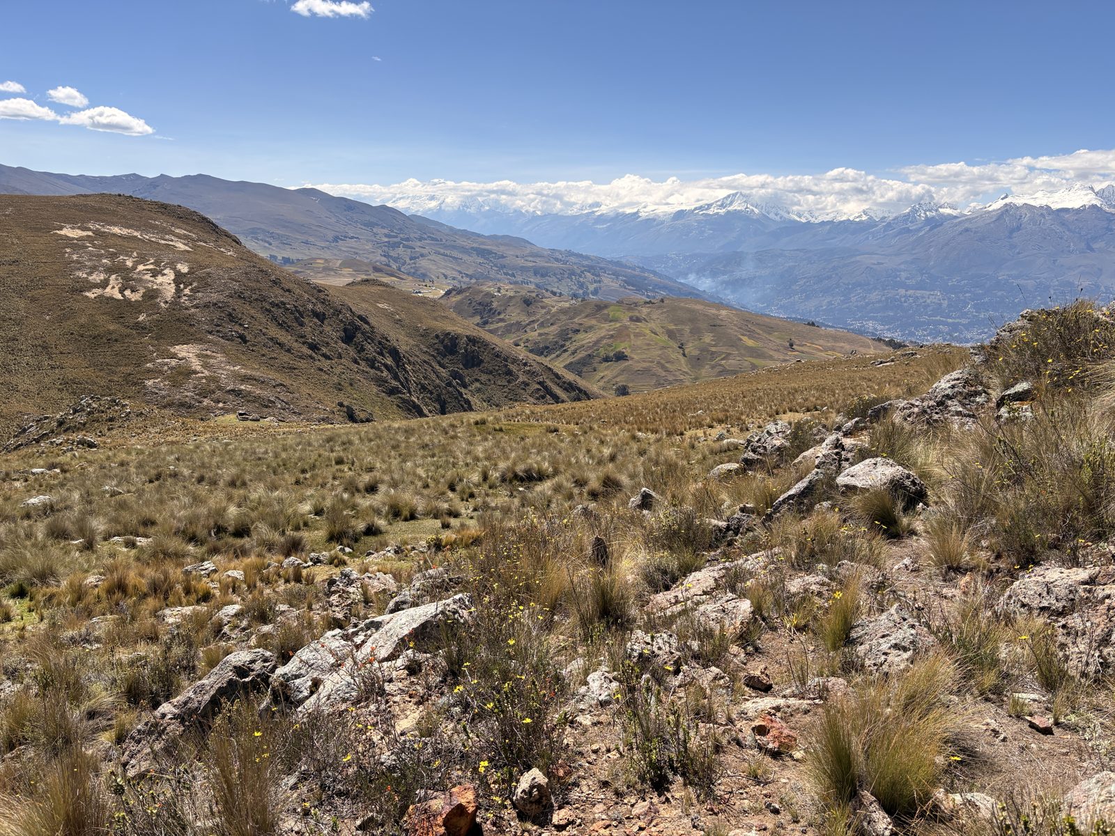 Alto Ruri, looking north from the historical discovery hole