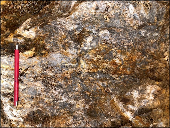 Figure 4: Outcrop from the Copper East target area with intense alunite-pyrophyllite alteration as wormy and patchy alteration textures anomalous in surface rock Cu geochemistry with grade of up to 133 ppm Cu.