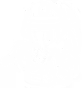 expert-tech-team.png